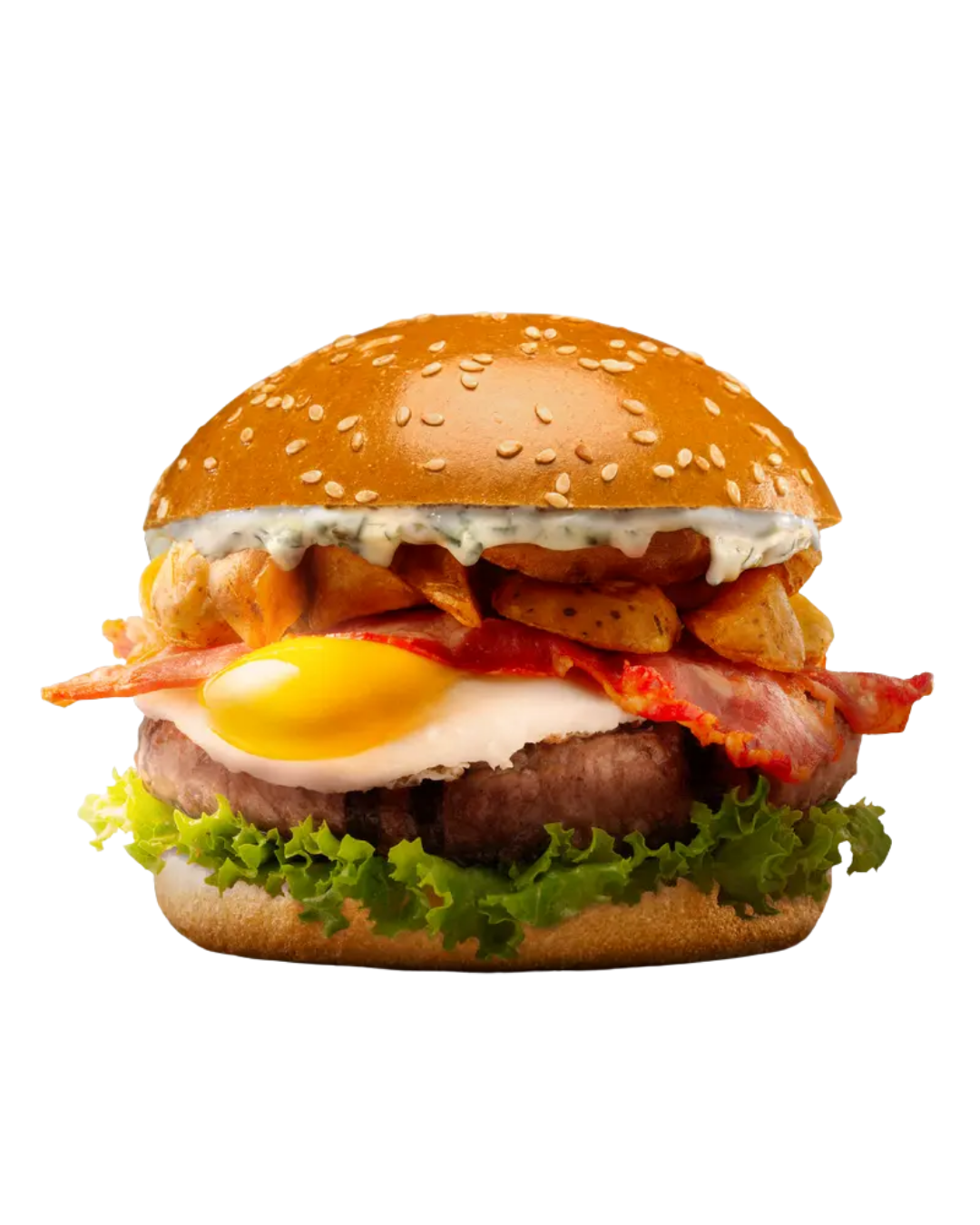 Producto 11